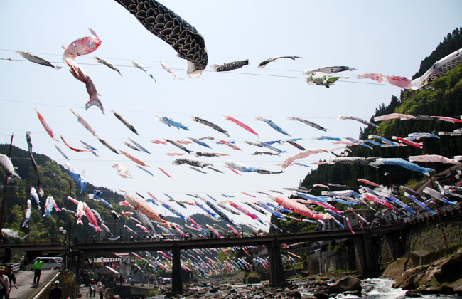 杖立温泉鯉のぼり祭り　2010　熊本　阿蘇