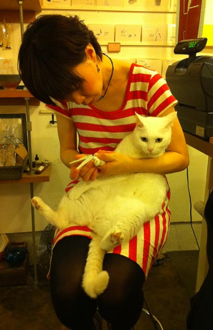 orange　白玉　cafe　熊本