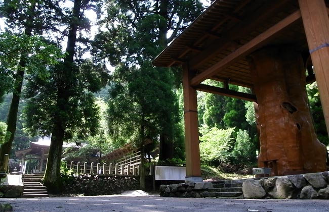国造神社　手野の杉　天然記念物　神社　阿蘇