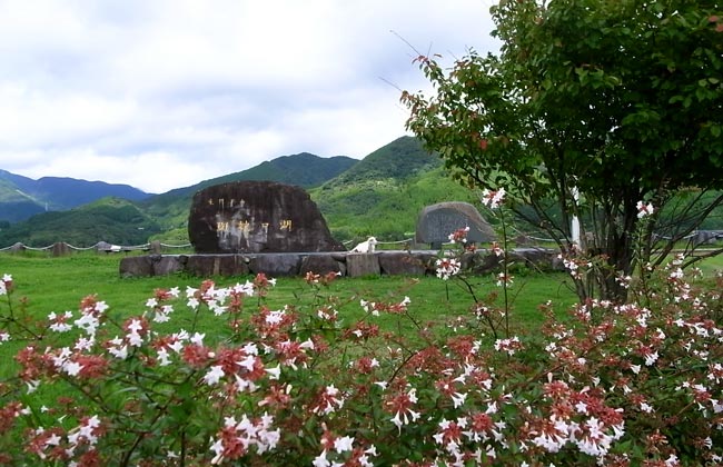 竜門ダム　菊池　何故か山羊が沢山