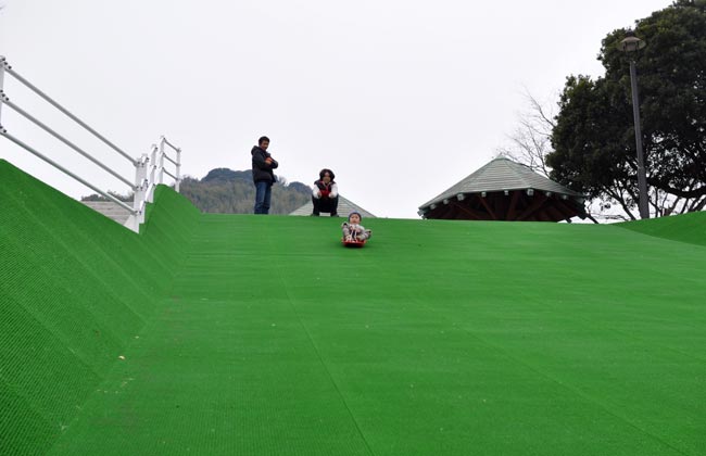 熊本運動公園　草スキー場　